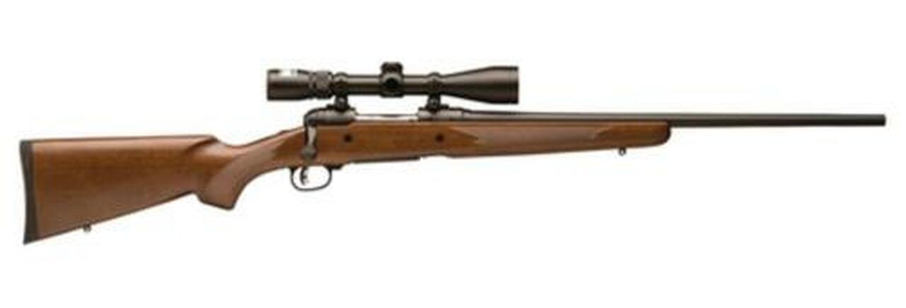 Savage 10 Trophy Hunter XP Bolt 22-250 Rem 22" Barrel, Scope Wal Stock Black, 4rd