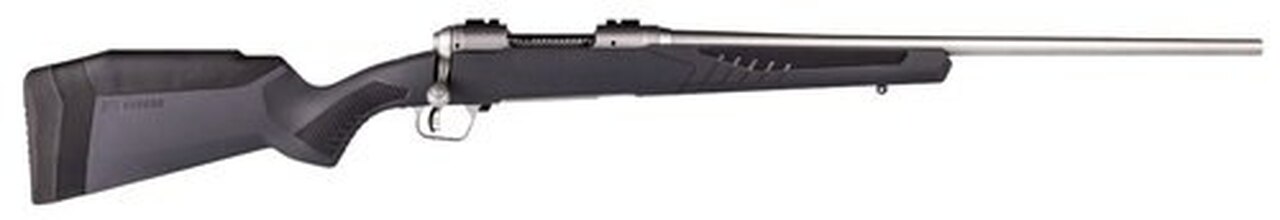 Savage 10/110 Storm 22-250 Remington, 22" Barrel, Stainless Steel,, , AccuFit Gray Stock, 4 rd