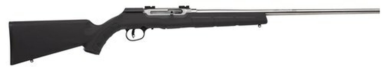 Savage A22 FSS .22 LR, 22" Barrel, Synthetic Black Stock, Stainless Steel, 10rd