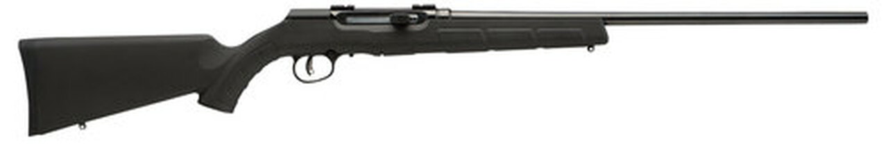 Savage A17 HM2 17 HM2 (Hornady Mach 2), 20" Barrel, Black Color, Black Polymer Stock, Detachable Rotary Magazine