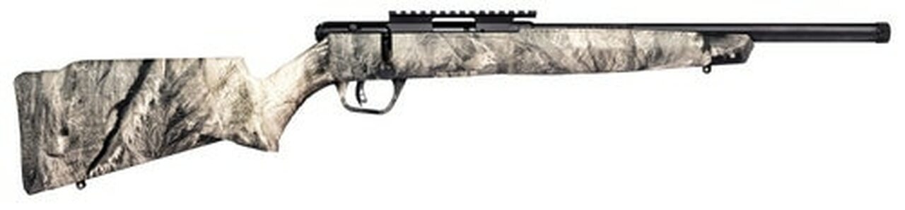 Savage B17 FV-SR .17 HMR, 16.5" Barrel, Synthetic Overwatch Stock, Black Carbon, 10rd