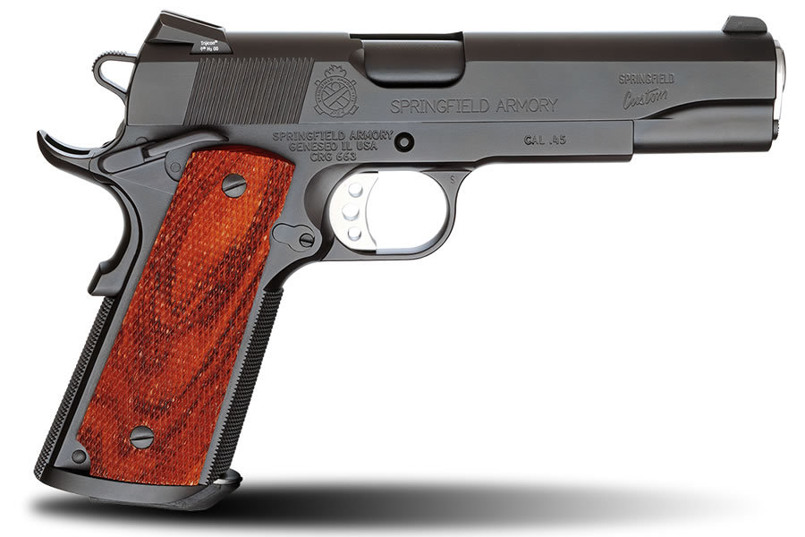 Professional 1911 A1 45 Auto Fbi Contract Model