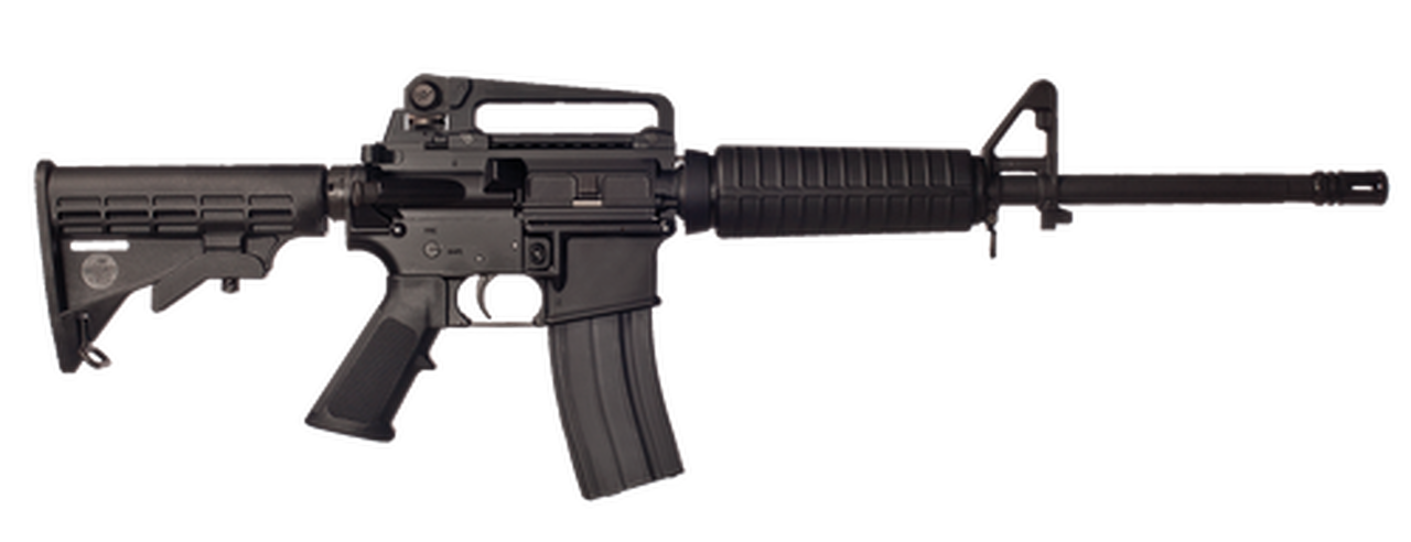 Bushmaster A3 Carbine .223/5.56 16" Barrel Detachable Carry Handle 30 Rd Mag