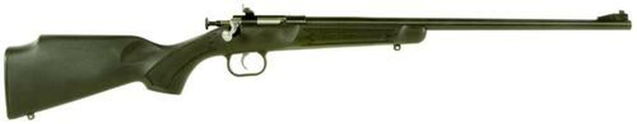 Keystone Crickett 22LR, 16.12", Black Synthetic Stock, Blued