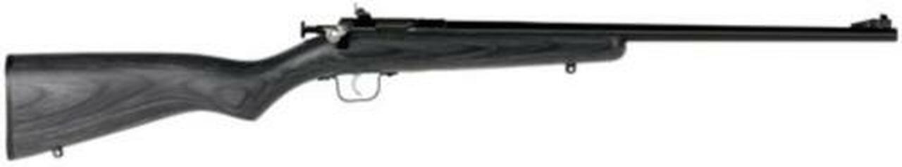 Keystone Sporting Arms, Crickett, Gen 2, Youth, Bolt Action, Single Shot Rifle, 22 LR, 16.125" Barrel, Blue Finish, Black Laminate Stock, Adjustable Sights