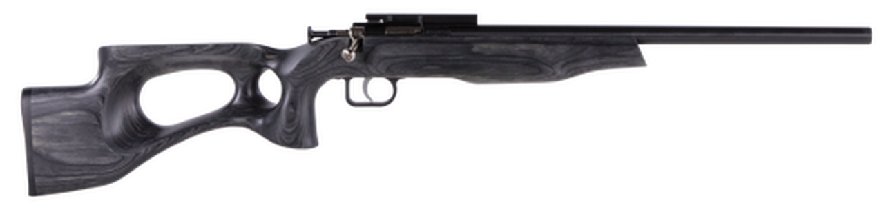 Crickett Black Target 22LR, 16.125" Barrel, Laminate Thumbhole Black Stock, Blued