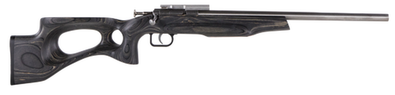 Crickett Black Target 22LR, 16.125" Barrel, Laminate Thumbhole Black Stock, Stainless Steel