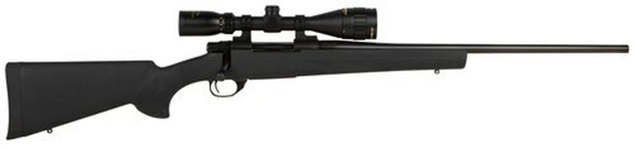 Howa Hogue, 6mm Creedmoor, 22", 4rd, 3.5-10x44mm Gameking Scope, Blued, Black