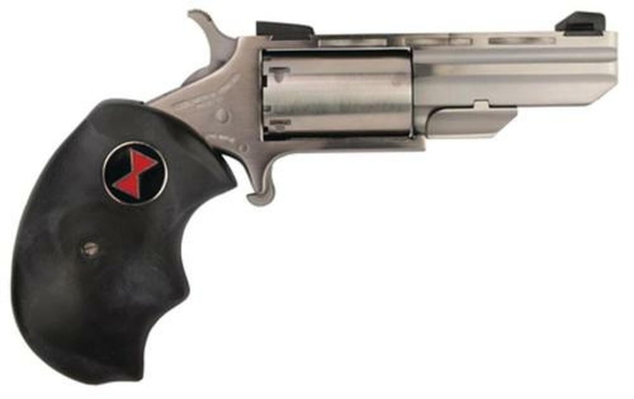 NAA 22 Black Widow 22LR 2" 5rd Fixed Sight Black Rubber Grip Stainless