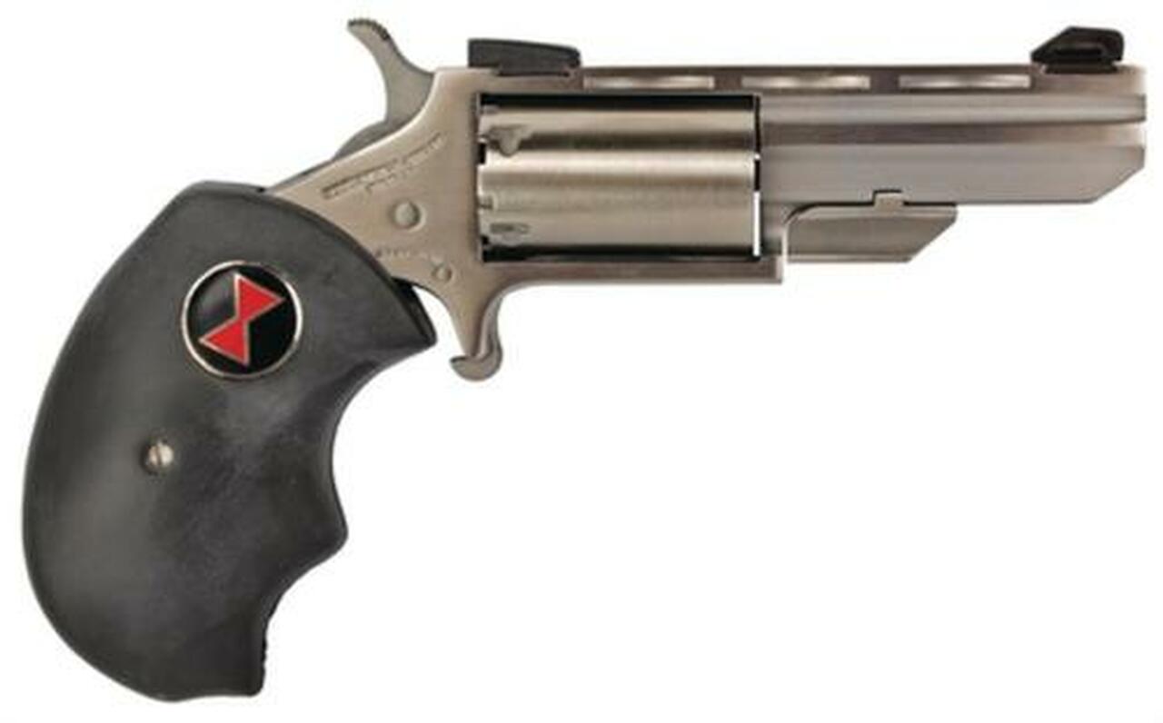 NAA 22 Black Widow 22 Mag 2" 5rd Fixed Sight Black Rubber Grip Stainless