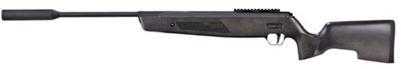Sig ASP20 .22 Airgun Break Barrel, Wood Stock, Suppressor