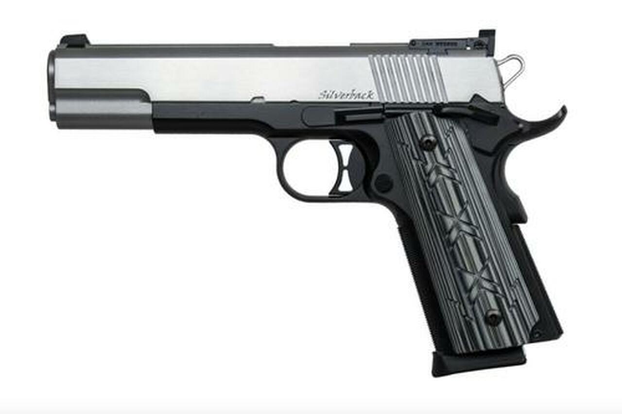 Dan Wesson Silverback 9mm, 5" Barrel, Black/Stainless Steel, Night Sights,, rd, 10 rd