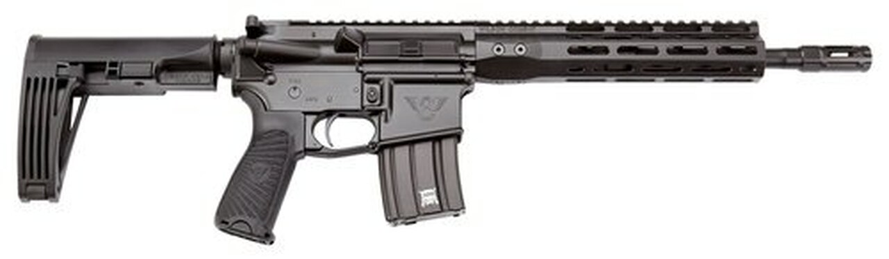 Wilson Combat Protector AR Pistol, .300 Blackout 11.3", 20rd, Tailhook Brace, Black