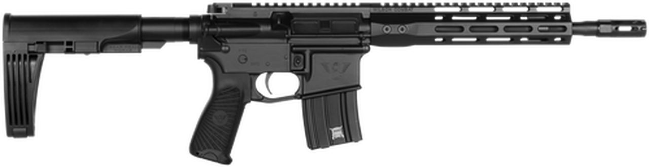 Wilson Combat Protector AR Pistol, .300 HAM'R, 11.3", 20rd, Tailhook Brace, Black
