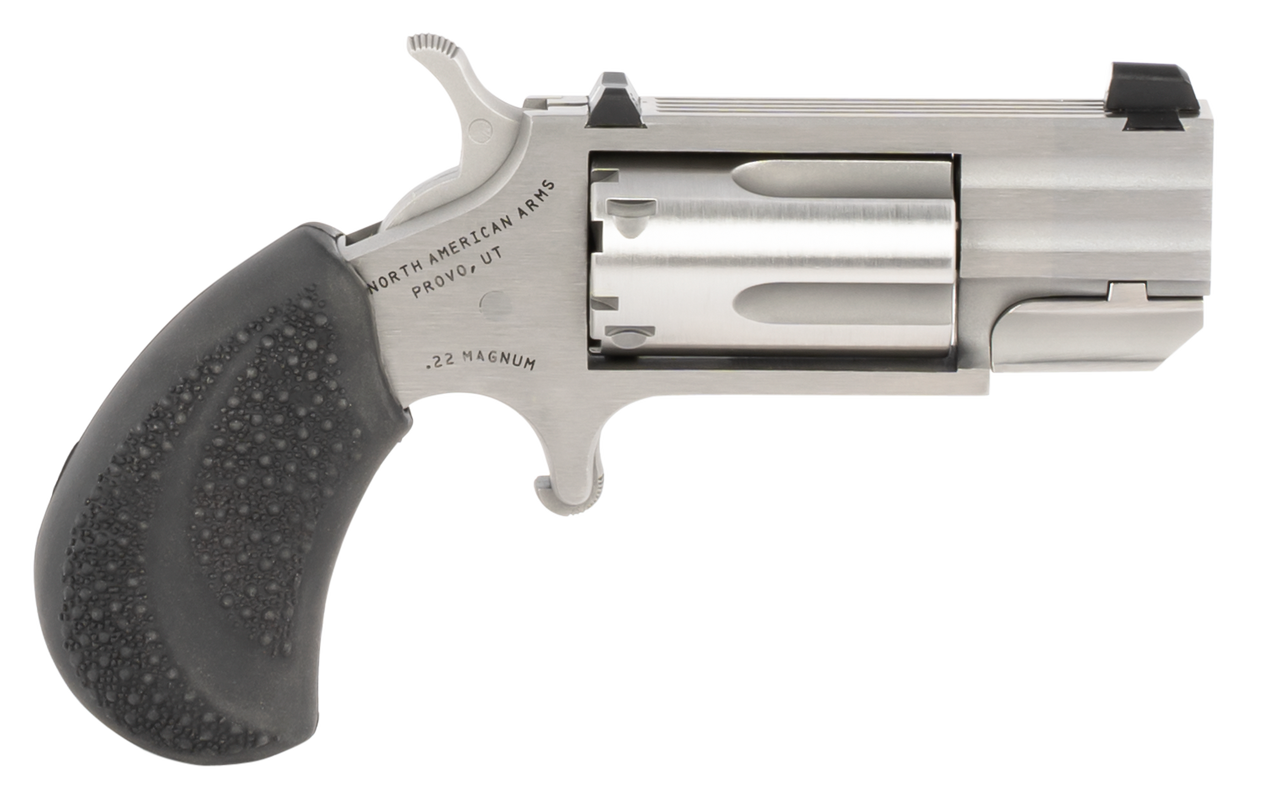 NAA Pug 22 LR,22 Mag 5rd 1" Stainless Steel Black Rubber Grip White-Dot Sights