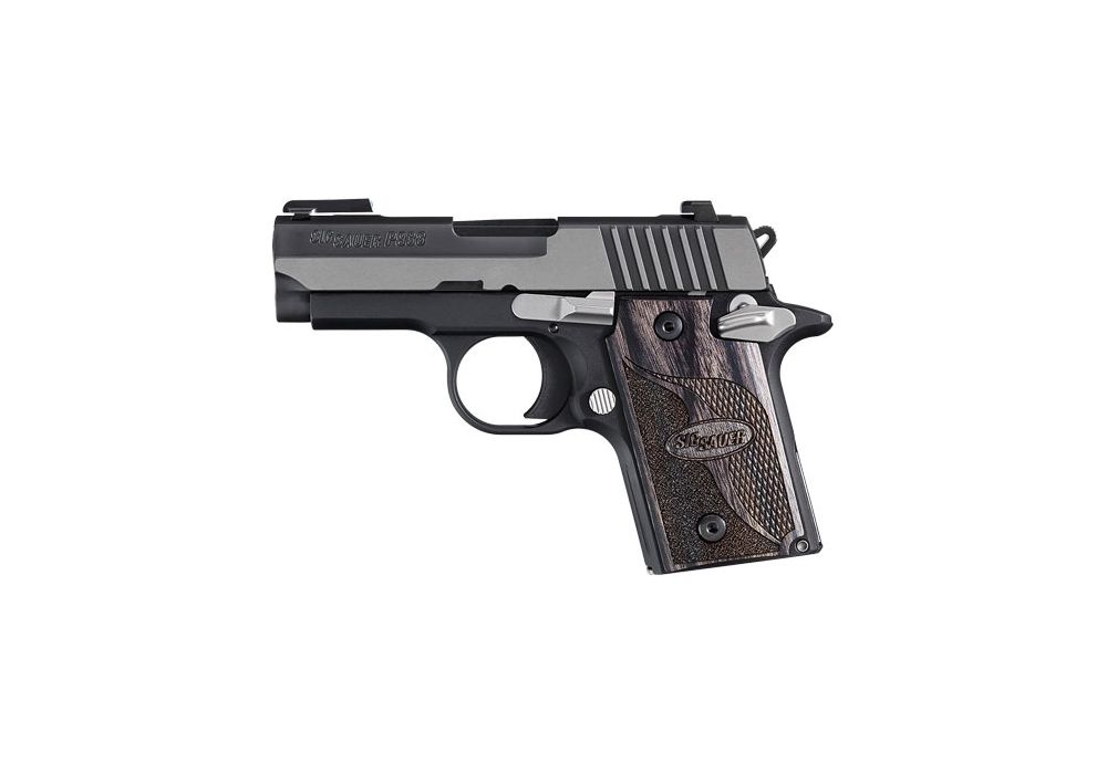 P938 Equinox Micro-Compact