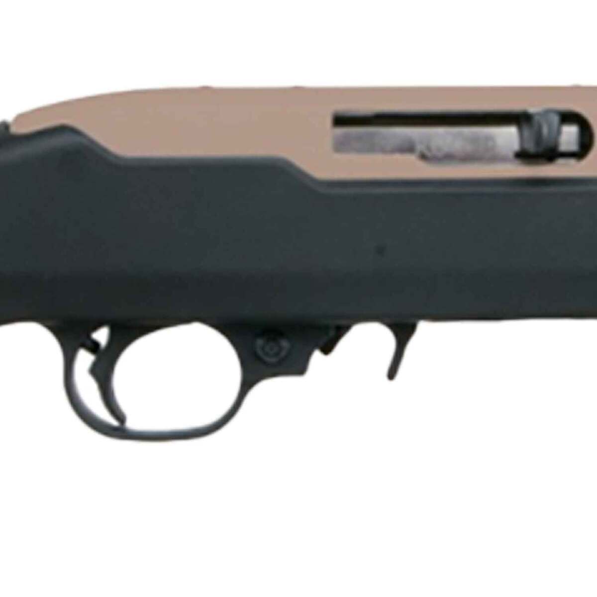 Ruger 10/22 Takedown Stainless Gray Semi-Auto Rifle - 22LR