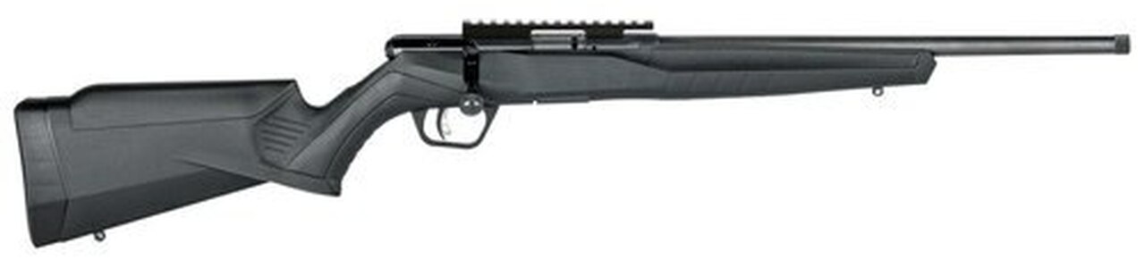 Savage B22 FV-SR Magnum Bolt-Action Rifle .22 WMR